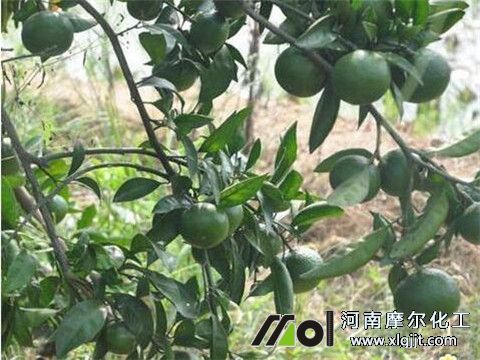 植物精油能用的地方