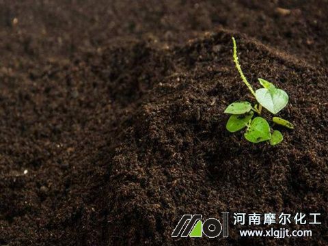 鱼蛋白叶面肥改良土壤