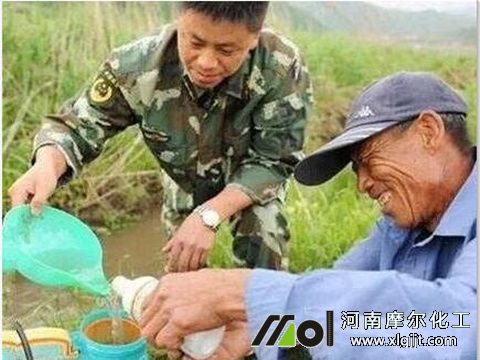 鱼蛋白叶面肥混搭