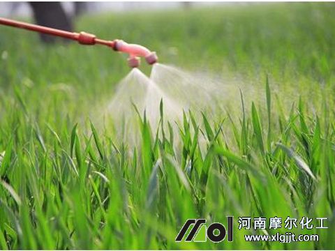 鱼蛋白叶面肥用法