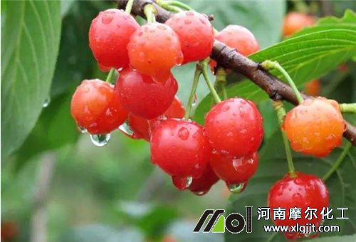 叶面肥喷施多久管用