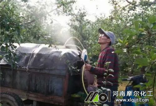 叶面肥使用注意