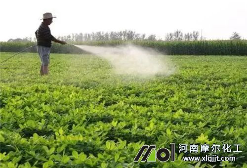 叶面肥是否能抗旱